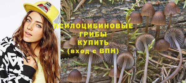 гашишное масло Ельня