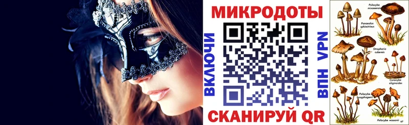 даркнет сайт  Тайшет  Галлюциногенные грибы прущие грибы 