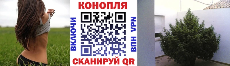 Бошки Шишки тримм Тайшет